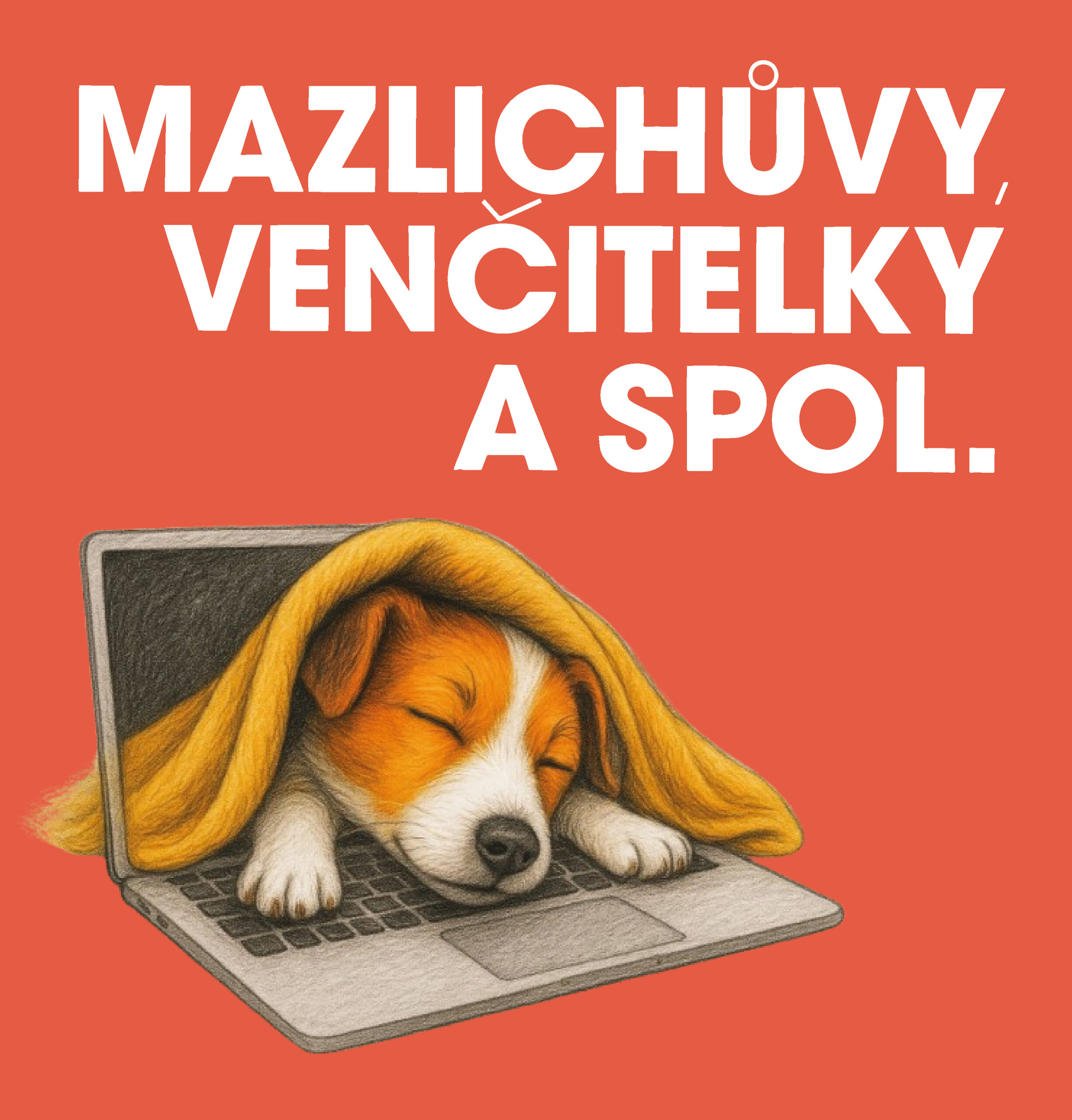 NBS v Magazín Dnes!